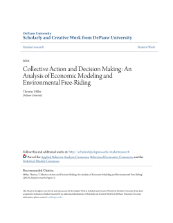 Collective Action and Decision Making: An Analysis of Economic