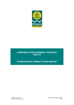 Strategy Consultation Report 2016