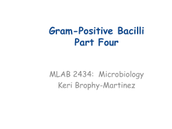 Chapter 16: Gram-Positive Bacilli Part Four