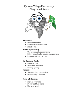 Cypress Village Elementary Playground Rules