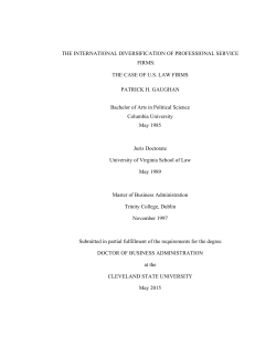 THE INTERNATIONAL DIVERSIFICATION OF