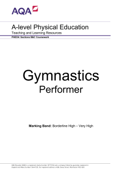 Gymnastics Performer