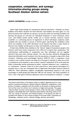 cooperation, competition, and synergy: information