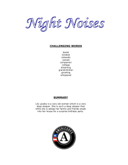 Book: Night Noises