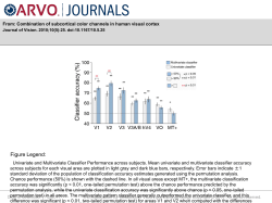 Slide - Journal of Vision
