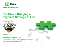 Payment Strategy - Carolinas Cash Adventure