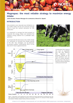 Magnapac: the most reliable strategy to maximize energy