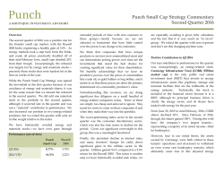 Punch Small Cap Strategy Commentary Second Quarter 2016