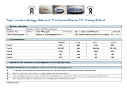 template for statement of pupil premium strategy * primary schools