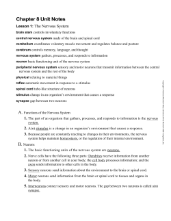 Chapter 8 Unit Notes Lesson 1