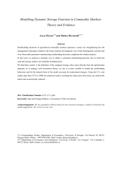 Modelling Dynamic Storage Function in Commodity Markets: Theory