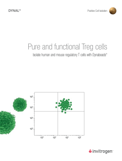 Pure and functional Treg cells