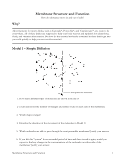 Model 2 &ndash; The Selectively Permeable Cell Membrane