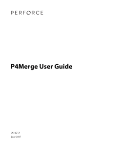 P4Merge User Guide - 2017.2