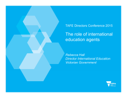 The role of international education agents