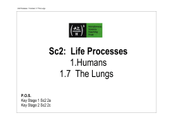 Sc2: Life Processes