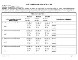 Performance Improvement Plan
