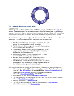 The Project Risk Management Process