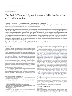 The Brain`s Temporal Dynamics from a Collective Decision to