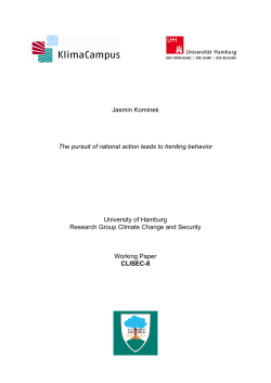 Jasmin Kominek The pursuit of rational action leads to