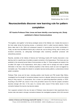 Neuroscientists discover new learning rule for pattern completion