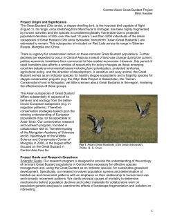 Central Asian Great Bustard Project Mimi Kessler Project Origin and