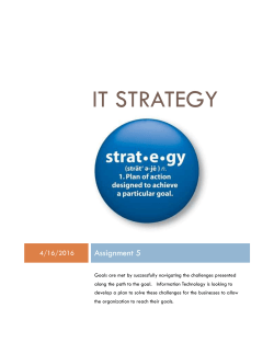 IT Strategy - Testing Cycle