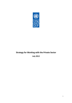 Strategy for Working with the Private Sector