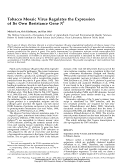 Tobacco Mosaic Virus Regulates the Expression
