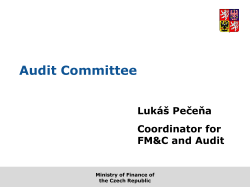 czech_republic_audit-committee_eng