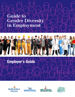 Guide to Gender Diversity in Employment