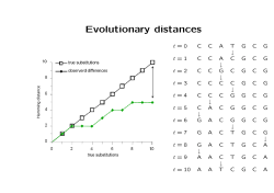 Evolutionary distances