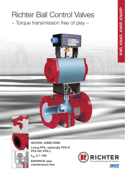 Richter Ball Control Valves