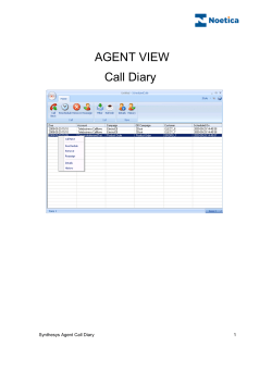 Synthesys&trade; Agent Call Diary