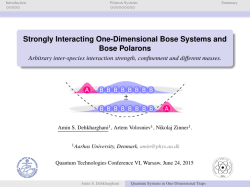 Strongly Interacting One-Dimensional Bose Systems and Bose