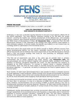 lazy eye treatment in adults: new insights on brain