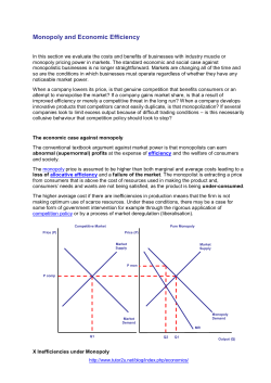 Monopoly and Economic Efficiency