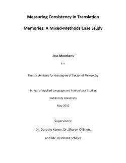 Measuring Consistency in Translation Memories: A Mixed