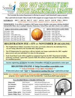 Grade 3 to Grade 8 Basketball League Flyer.pub