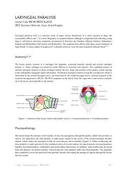 Laryngeal paralysis in cats