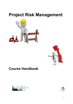 Introduction to Project Risk Management