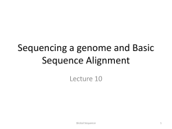 Principles of aligning sequences