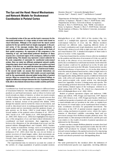 The Eye and the Hand: Neural Mechanisms and Network Models for