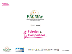 dessert grape segment