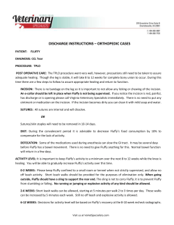 Basic orthopedic discharge instructions