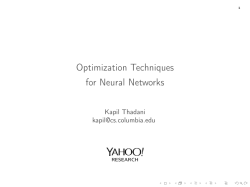 Optimization Techniques for Neural Networks
