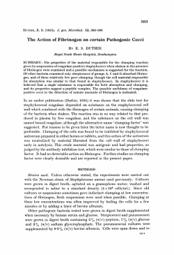 The Action of Fibrinogen on certain Pathogenic Cocci