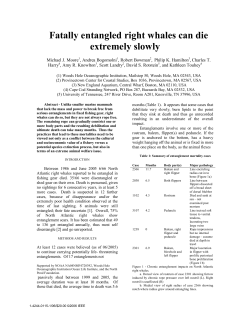 Fatally entangled right whales can die extremely slowly