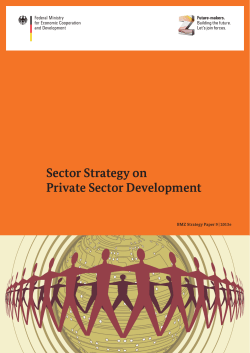Sector Strategy on Private Sector Development