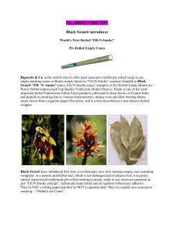 Flavored Pre Rolled Fill-N-Smoke Cones